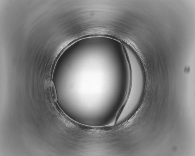 X0000093091081200710241156