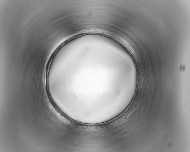 X0000093091084200710241156
