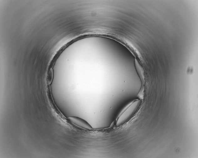 X0000093091085200710241156