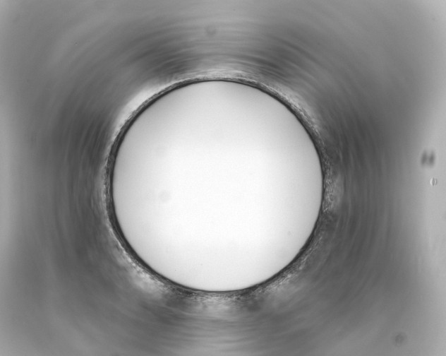 X0000093091086200710241156