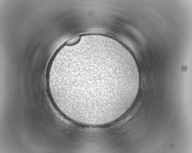 X0000093091087200710241156