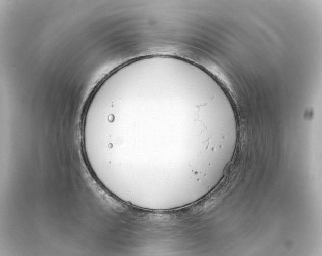 X0000093091088200710241156