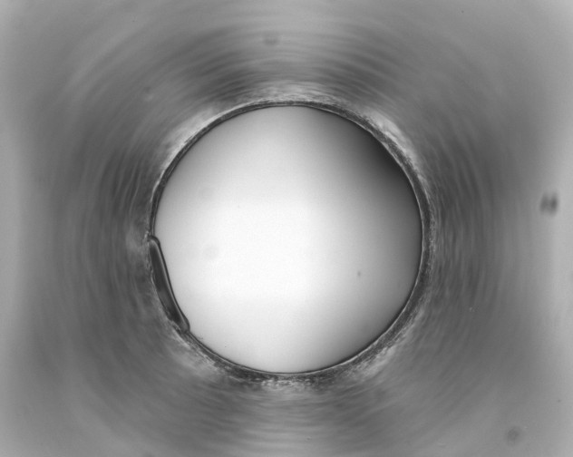 X0000093091089200710241156