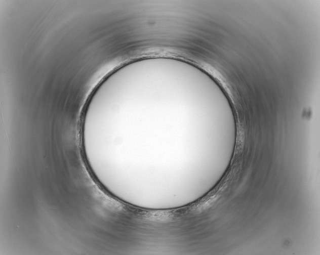 X0000093091090200710241156