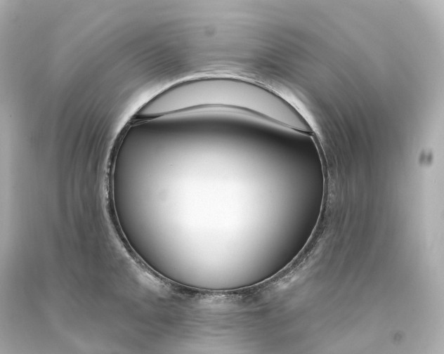 X0000093091093200710241156