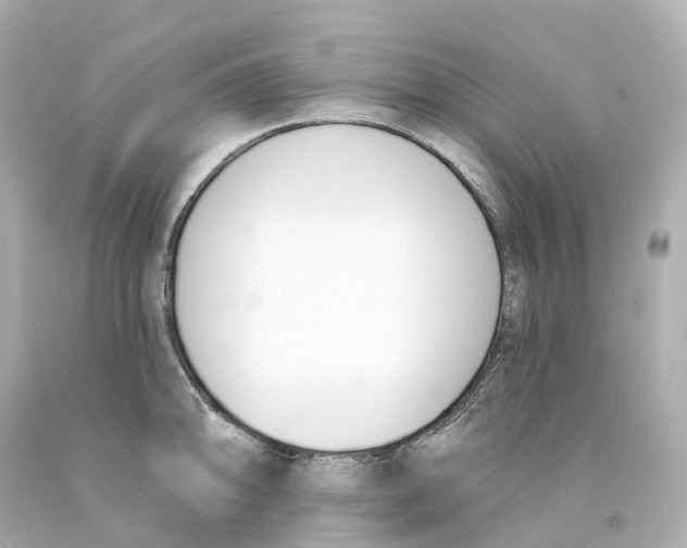 X0000093091094200710241156