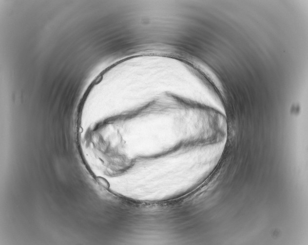 X0000093091099200710241156