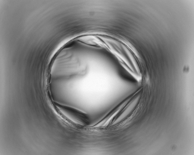 X0000093091101200710241156