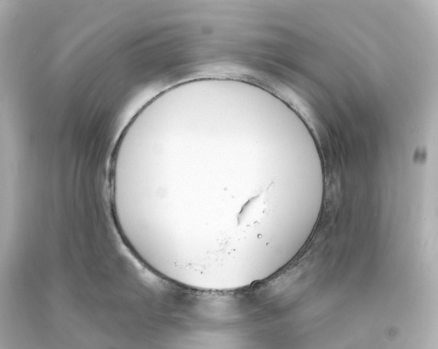 X0000093091103200710241155