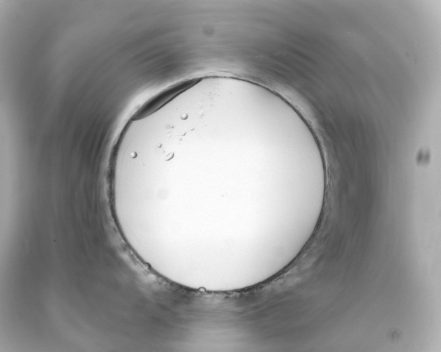 X0000093091104200710241155