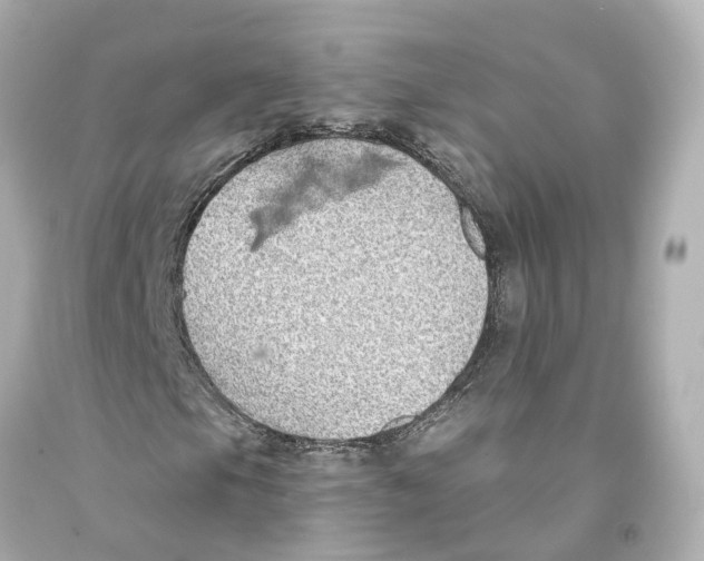X0000093091105200710241155