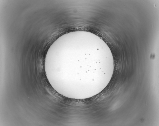 X0000093091106200710241155