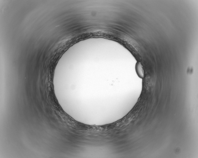 X0000093091111200710241155