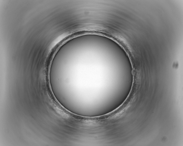 X0000093091114200710241155