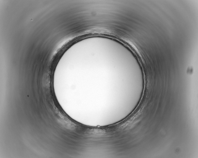 X0000093091115200710241155