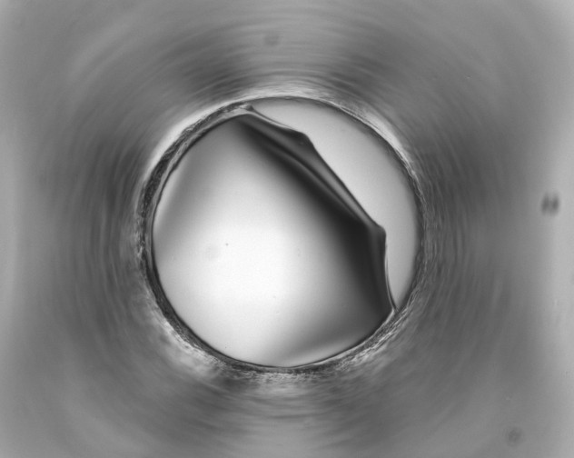 X0000093091116200710241155