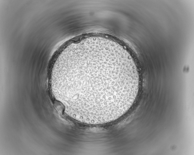 X0000093091117200710241155