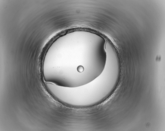 X0000093091118200710241155