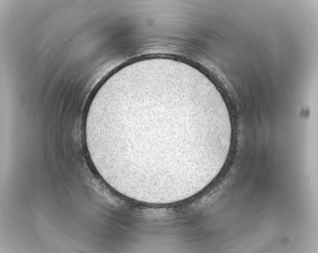 X0000093091121200710241155