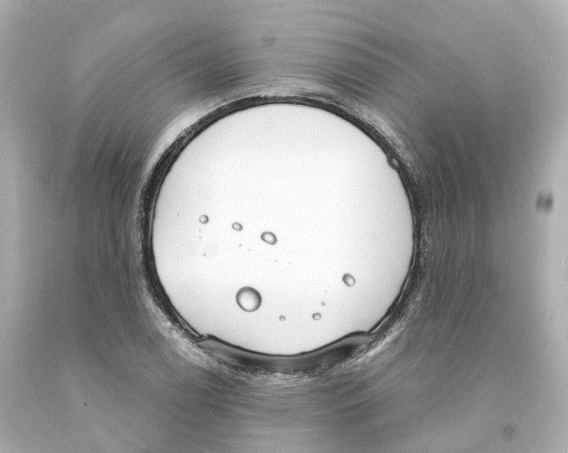 X0000093091122200710241155
