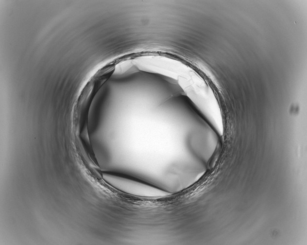X0000093091124200710241155
