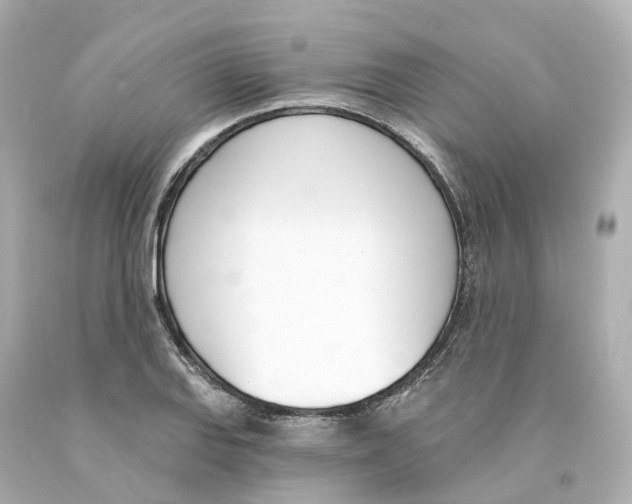 X0000093091127200710241155