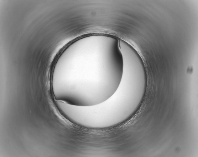 X0000093091128200710241155