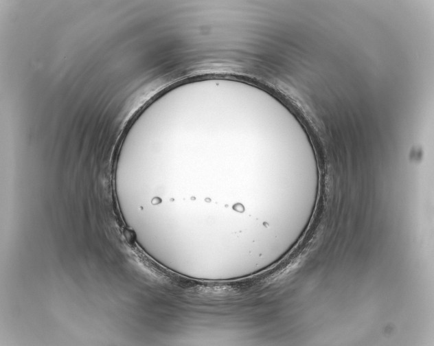X0000093091129200710241155
