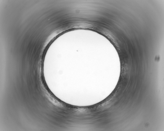 X0000093091130200710241155
