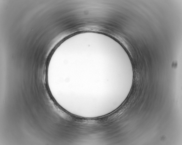 X0000093091131200710241155