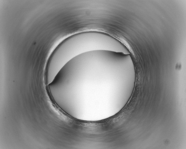 X0000093091132200710241155