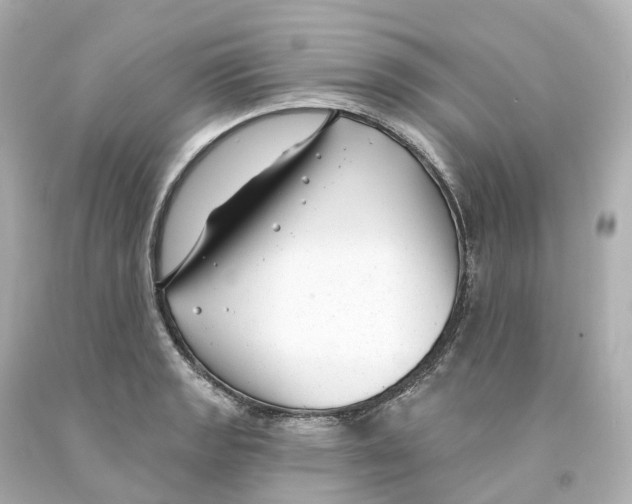 X0000093091133200710241155