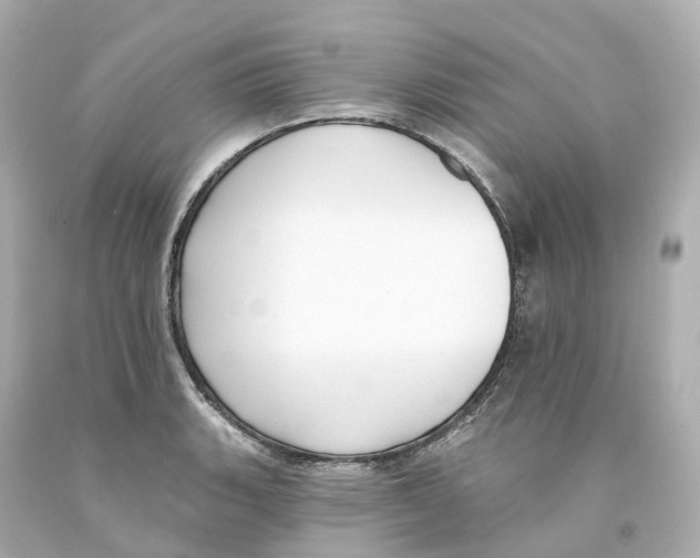 X0000093091135200710241155