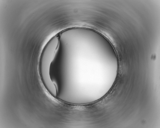 X0000093091136200710241155