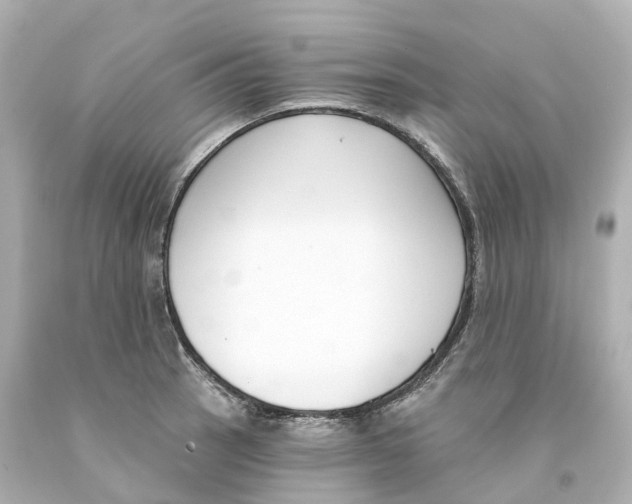 X0000093091137200710241155