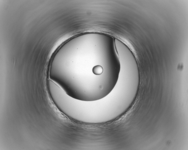 X0000093091138200710241155
