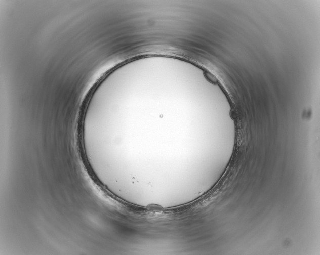 X0000093091139200710241155