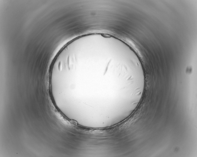 X0000093091140200710241155