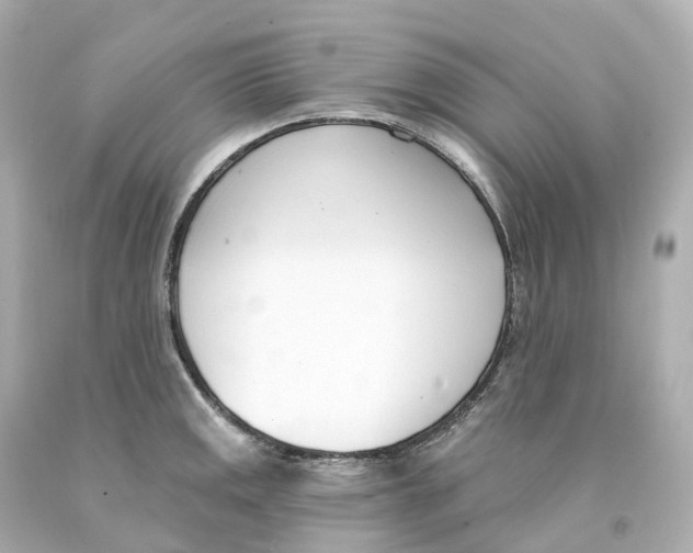 X0000093091141200710241155