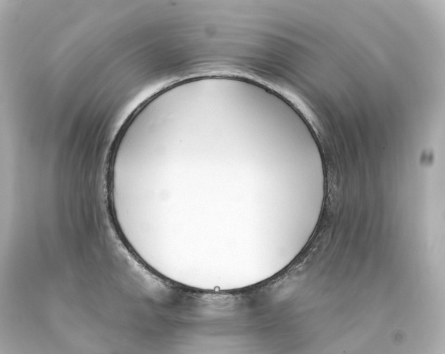 X0000093091142200710241155