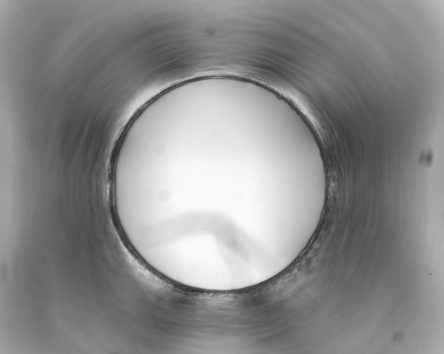 X0000093091143200710241155