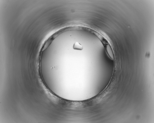 X0000093091144200710241155
