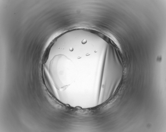 X0000093091146200710241155