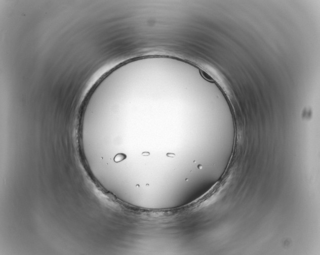 X0000093091149200710241155