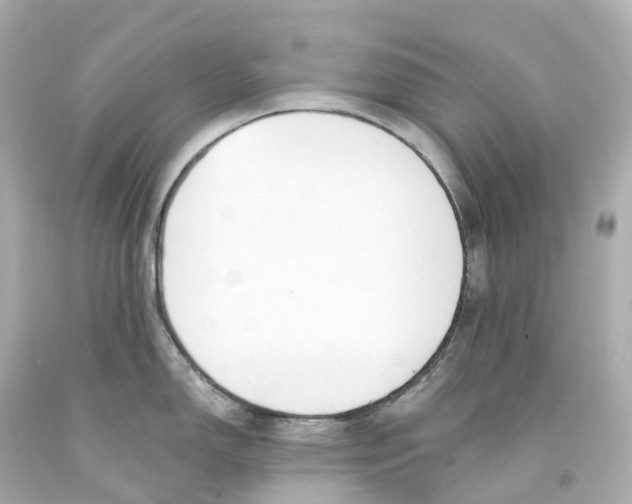 X0000093091150200710241155