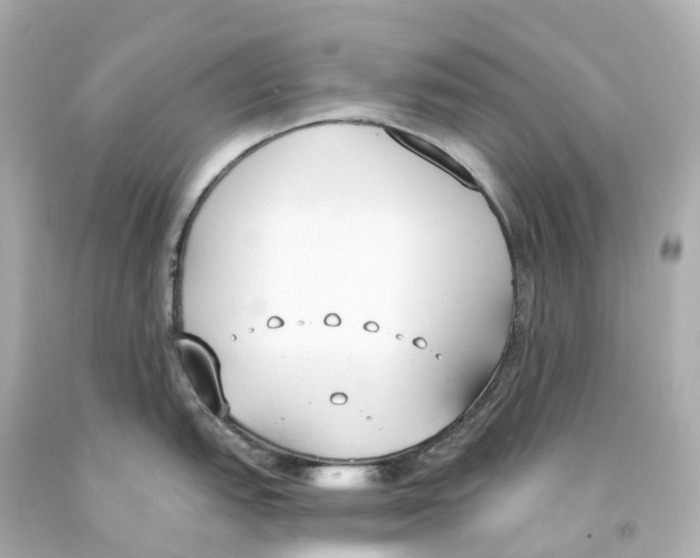 X0000093091151200710241155