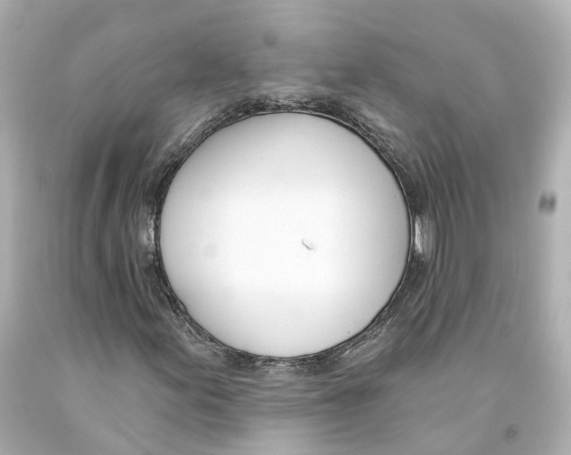 X0000093091155200710241155