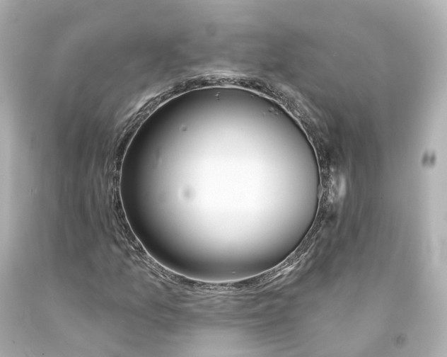 X0000093091157200710241155