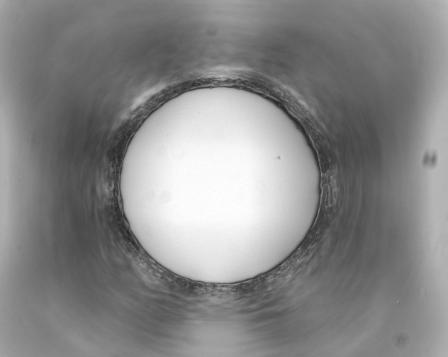 X0000093091158200710241155