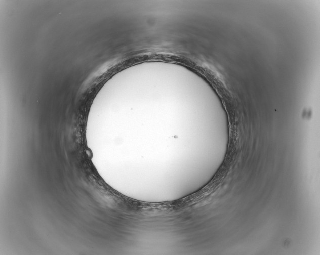 X0000093091159200710241155